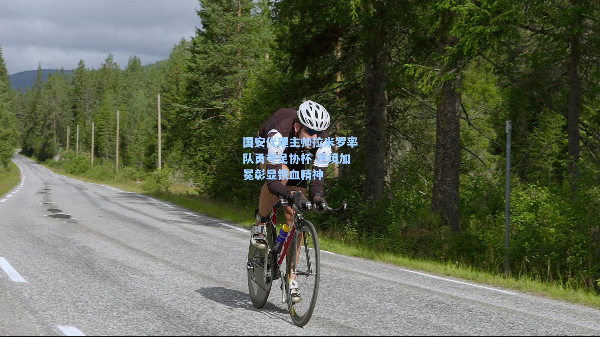 国安代理主帅拉米罗率队勇夺足协杯 逆境加冕彰显铁血精神