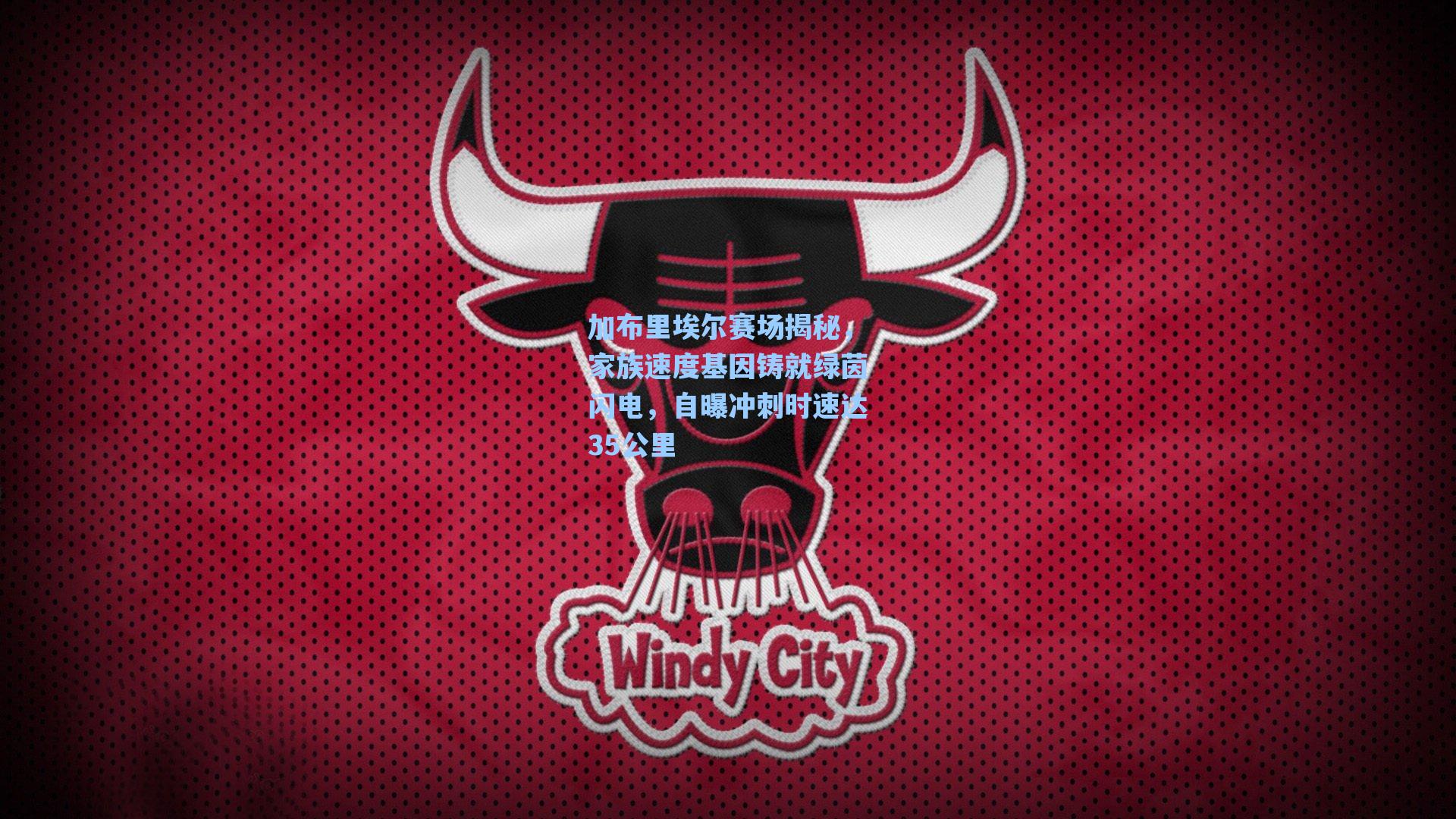 加布里埃尔赛场揭秘，家族速度基因铸就绿茵闪电，自曝冲刺时速达35公里